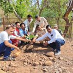 पत्रकारों ने संभाली पर्यावरण संरक्षण की जिम्मेदारी, छत्तीसगढ़ जर्नलिस्ट यूनियन ने वन विभाग के साथ करिया आमा में किया पौधारोपण