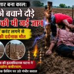 झटका तार बना काल: बेटे को बचाने दौड़े पिता की भी गई जान, खेत में करंट लगने से दोनों की दर्दनाक मौत,बिरनपुर कला की हृदयविदारक घटना ने झकझोरा कबीरधाम, अवैध इलेक्ट्रिक फेंसिंग पर उठे गंभीर सवाल…